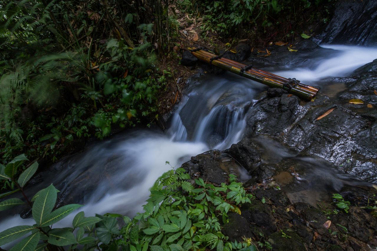 Hotel Bali Eco Adventure And Retreat Center Tegallalang  Exteriér fotografie