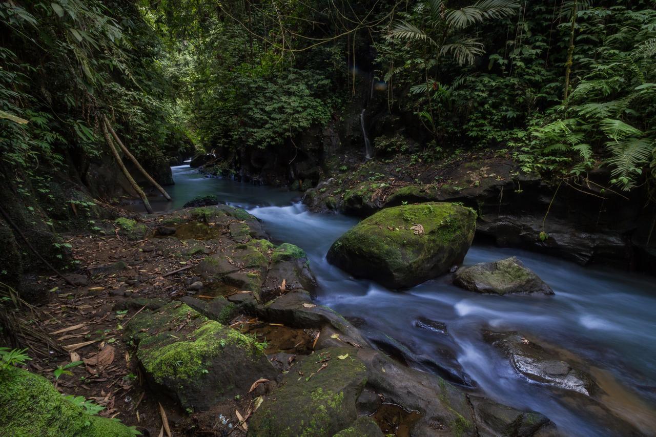 Hotel Bali Eco Adventure And Retreat Center Tegallalang  Exteriér fotografie