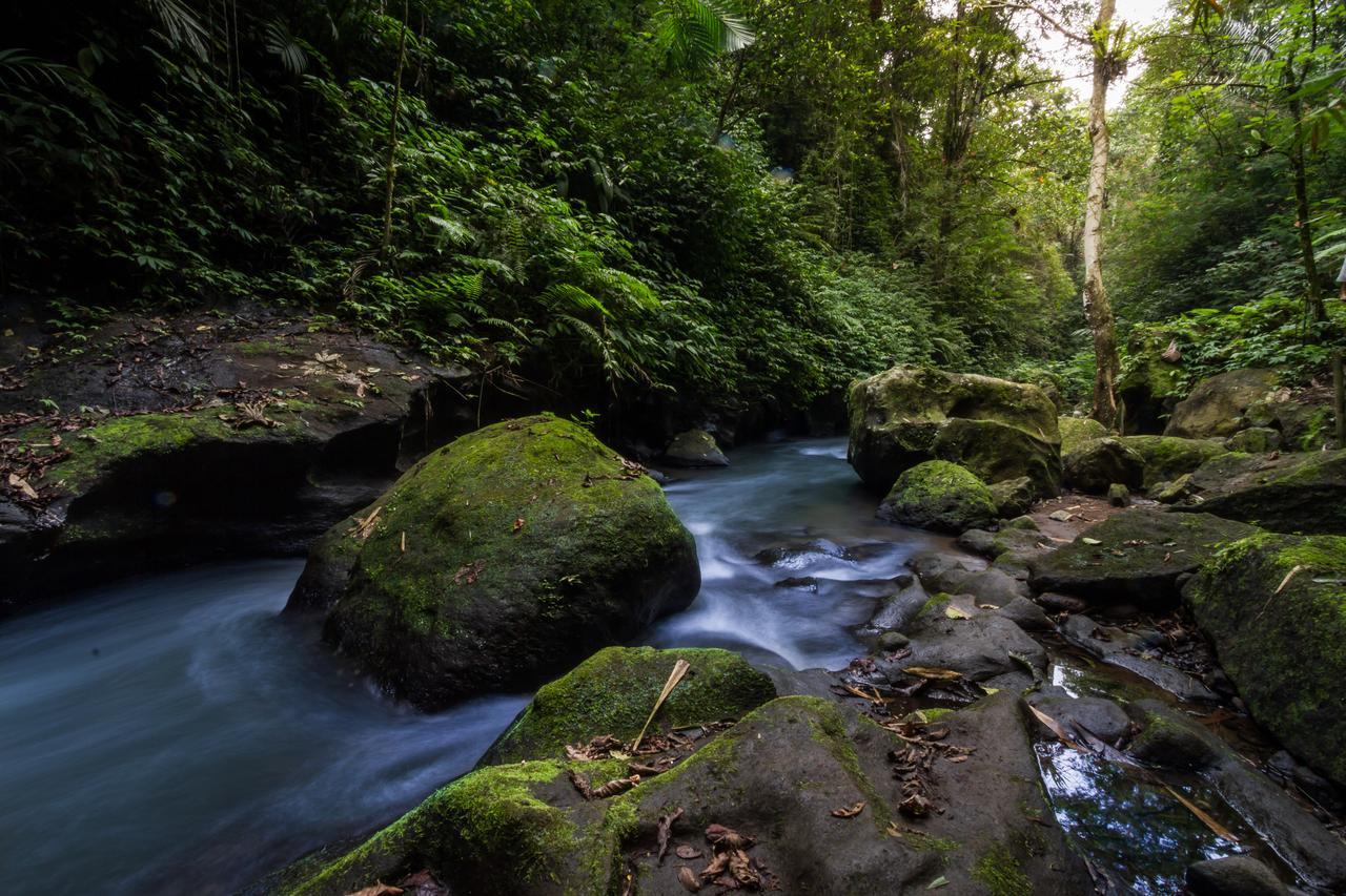 Hotel Bali Eco Adventure And Retreat Center Tegallalang  Exteriér fotografie