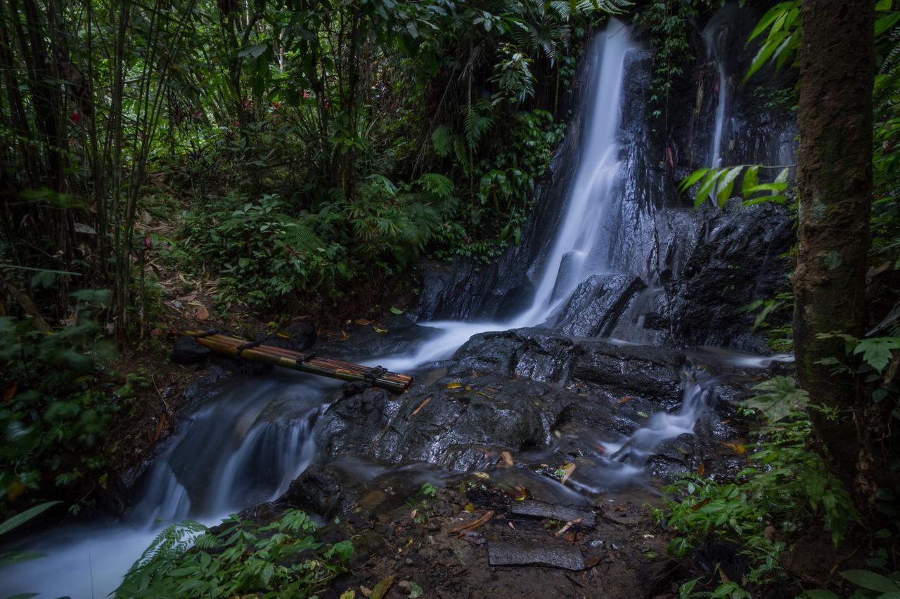 Hotel Bali Eco Adventure And Retreat Center Tegallalang  Exteriér fotografie